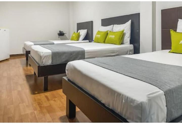 Hotel Castellon Plaza 佩雷拉 外观 照片